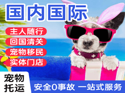 珠海莲洲航空快递国际宠物托运 【国